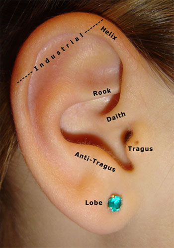 the picture below you can see the most popular places for ear piercing