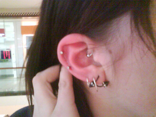 http://body-jewelry-guide.com/wp-content/uploads/2009/06/my-chosen-passion-ear-piercing-story.jpg